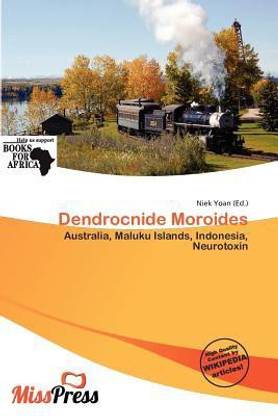 Dendrocnide Moroides