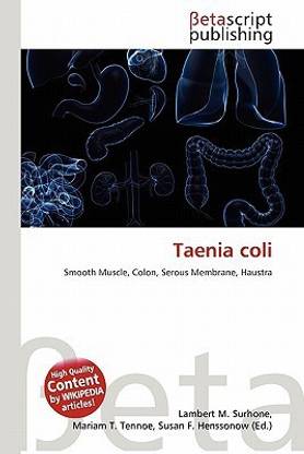 Taenia Coli