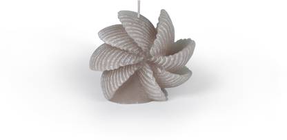 Manulena Wheel Shell Stone 140g Candle