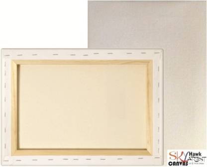 SKYHawk 18" x 20" Cotton Medium Grain Pre Stretched Canvas (Set of 1)