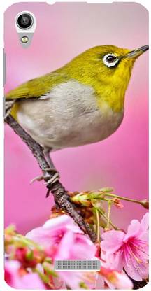AKP SUBLIMATION Back Cover for Lava Pixel V1 A cute little bird Designer Back Case Cover for LAVA PIXEL V1 - B1731
