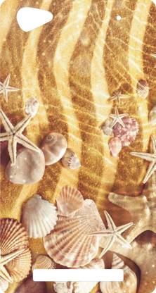 FOOTNOTE Back Cover for micromax video 4