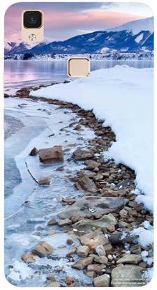 designhub Back Cover for Vivo V3 Max