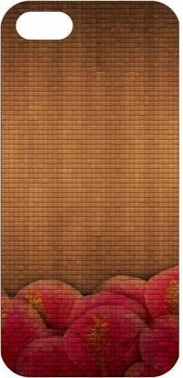 Go Right Back Cover for Apple iPhone 5s, iPhone5