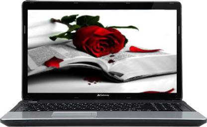 Acer Gateway NE56R Laptop (2nd Gen PDC/ 4GB/ 500GB/ Win8) (NX.Y1USI.011)
