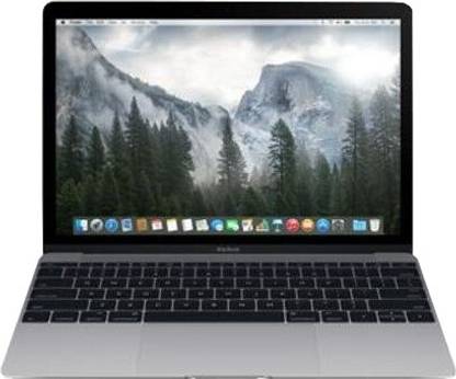 Apple MacBook Intel Core m5 5th Gen M-5Y10 - (8 GB/256 GB SSD/OS X Yosemite) MJY32HN/A