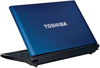 Toshiba NB520-A1115 Netbook (1st Gen ADC/ 2GB/ 320GB/ Win7 Starter)