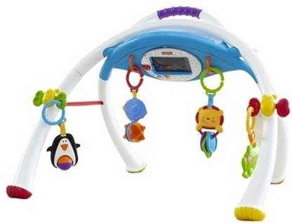 FISHER-PRICE Apptivity Gym ? Baby Toy