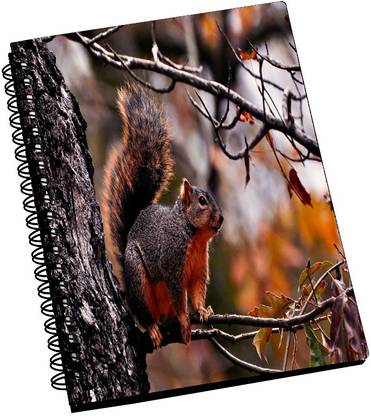 AMY Squirrel A5 Notebook Ruled 288 Pages