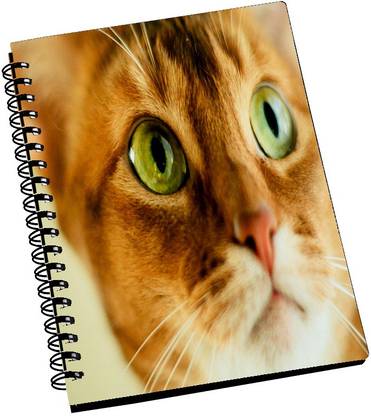 AMY Green Eyes Cat 2 A5 Notebook Ruled 288 Pages