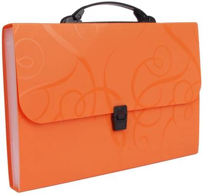TEP Plastic Document Bag