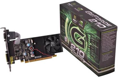 XFX Ge Force 210 DDR3 1 GB NVIDIA Chipset 64 Bit 1066 Hz Graphics Card