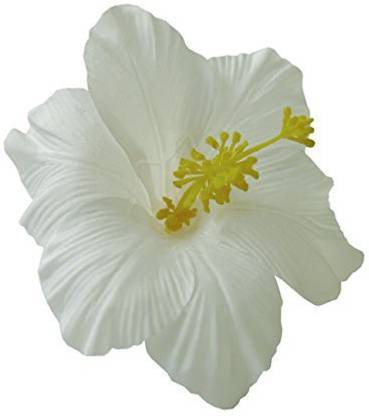 Generic Hawaiian Hibiscus Flower Hair Clip (White) Hair Clip