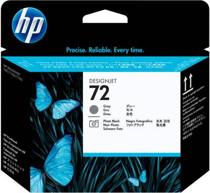HP 72 Gray and Photo Black Printhead