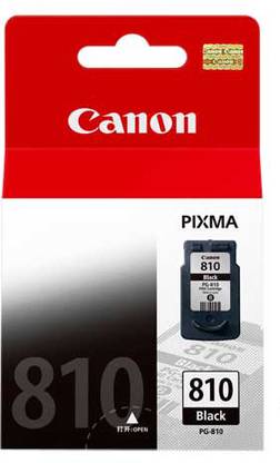 Canon PG 810 Ink Cartridge