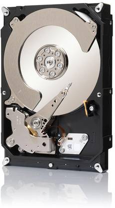 Seagate Constellation CS 1 TB Desktop SATA Internal Hard Disk Drive (HDD) (ST1000NC001)