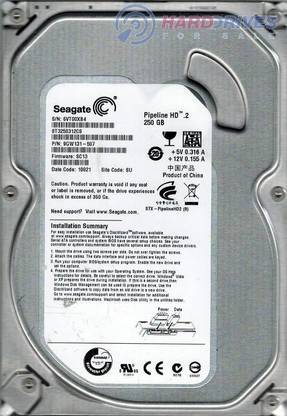 Seagate DB 250 GB Desktop Silver SATA Internal Hard Disk Drive (HDD) (st3250312cs)
