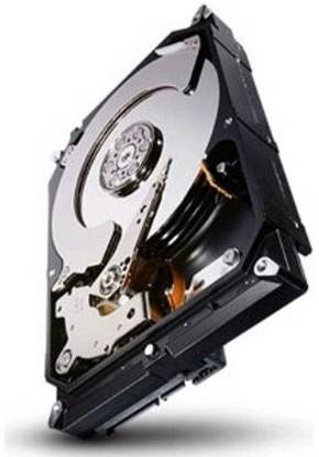 Seagate Constellation 2 TB Desktop Internal Hard Disk Drive (HDD) (ST2000NC001)