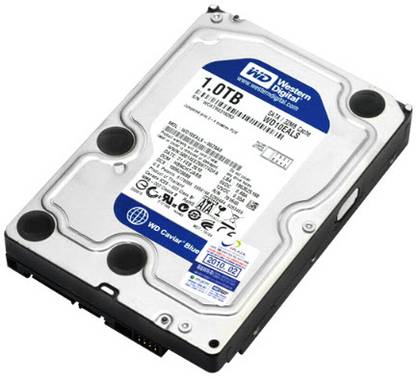 WD Caviar Blue 1 TB Desktop SATA Internal Hard Disk Drive (HDD) (WD10EALS)