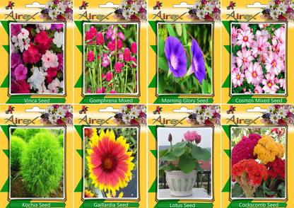 Airex Vinca, Gomphrena Mixed, Morning Glory, Cosmos Mixed, Kochia, Gaillardia, Lotus, and Cockscomb Seed