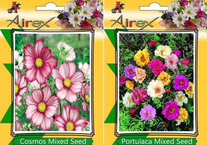 Airex Cosmos Mixed, Portulaca Mixed Seed