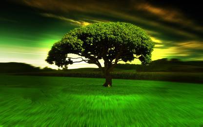 Place Tree poster Paper Print