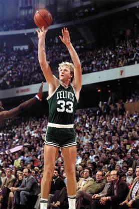 RadhaKripa larry bird Poster Paper Print