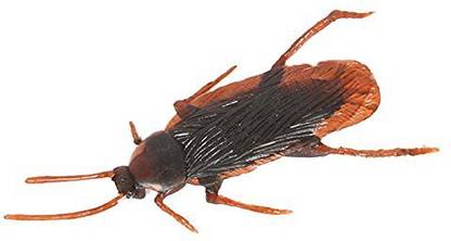 RVM Toys Fake Plastic Cockroach High Quality Prank Novelty Bugs Roaches Looks Real (Brown) Halloween Trick Toys