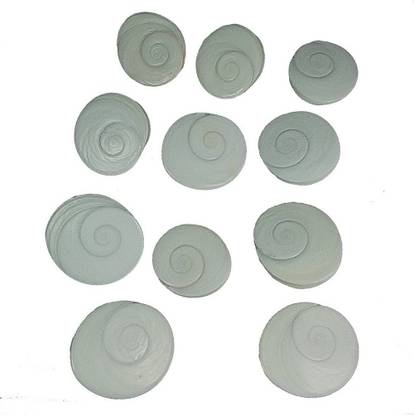 Rudra Natural Gomti Chakra-11 piece Decorative Showpiece  -  1 cm
