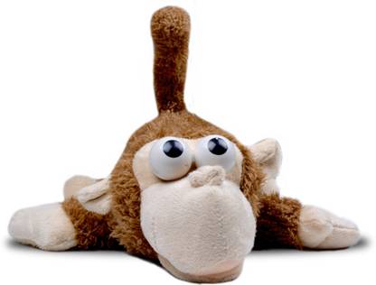 The Untold Stores LAUGHING AND ROLLING MONKEY