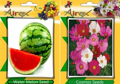 Airex Water Melon, Cosmos Mixed Seed