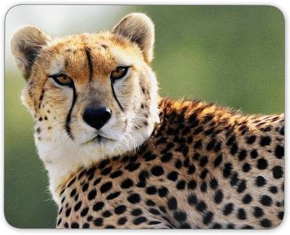 Digiclan Angry Cheetah Non Slip Base Mousepad