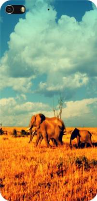 Soolin Back Cover for Gionee Elife S7