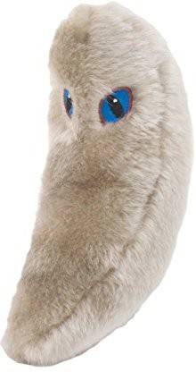 GIANT Microbes Toxoplasmosis (Toxoplasma Gondii)  - 2 inch