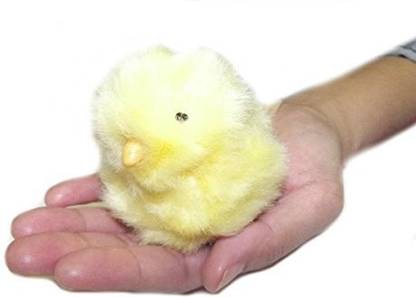 Dan Dee Easter Chirping Chick Palm Pet  - 2.3 inch