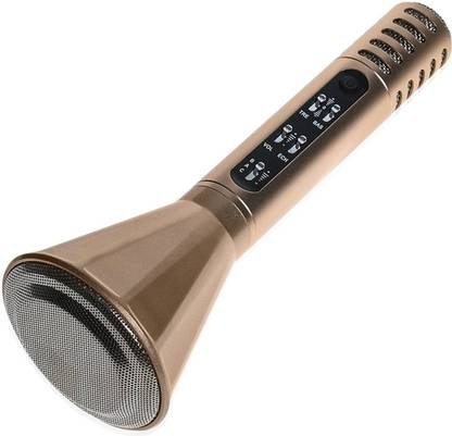 MAYA PA_079 Microphone
