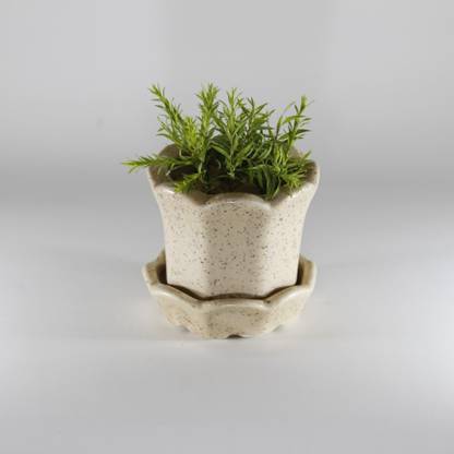 PORT REGALO Ceramic Vase