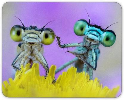 Digiclan Funny Insects Non Slip Base Mousepad