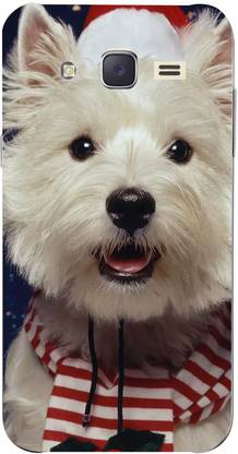 draxon Back Cover for SAMSUNG Galaxy J2