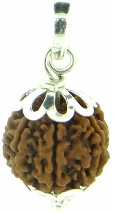 AJ 7 Mukhi Rudraksha Pendent with Jgl Lab Certified Silk Dori