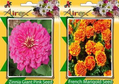 Airex Pink Zinnia, French Marigold Seed