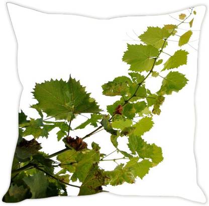 Sleep Nature's Polycotton Cushions Cover