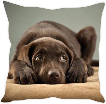 Sleep Nature's Polycotton Cushions Cover