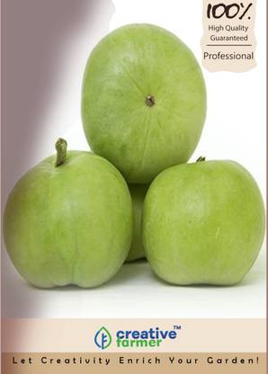 creative farmer Punjab Desi Chappan Tinda/Chappan Seeds Seed