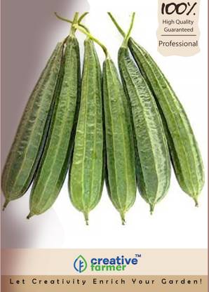 creative farmer Turai Tura Luffa Jhinga Seeds Seed
