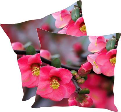 Sleep Nature's Polycotton Cushions Cover