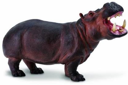 Safari Ltd Hippopotamus Figure
