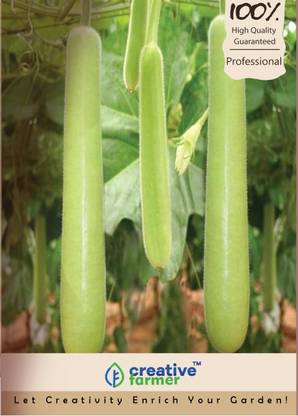 creative farmer Bottle Gourd Seeds- [Lauki/Lau/Clabas] Seed