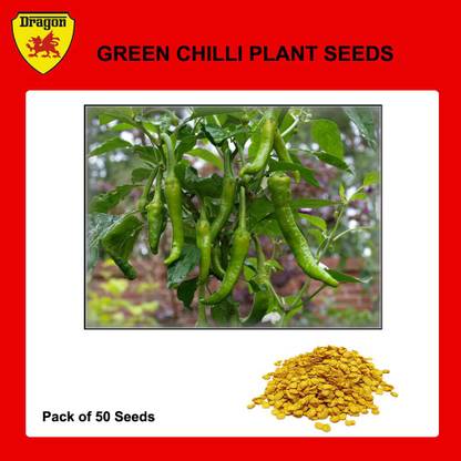 Dragon Green Chilli Seed