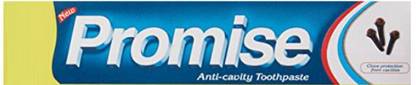 Dabur Promise Toothpaste